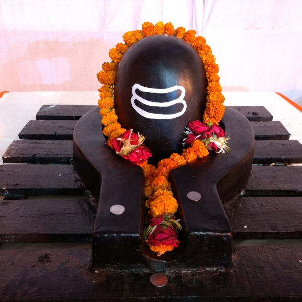 Pradosha Vratham Puja