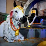 Mahashivratri 4 Prahar Puja Online at Ancient Temple