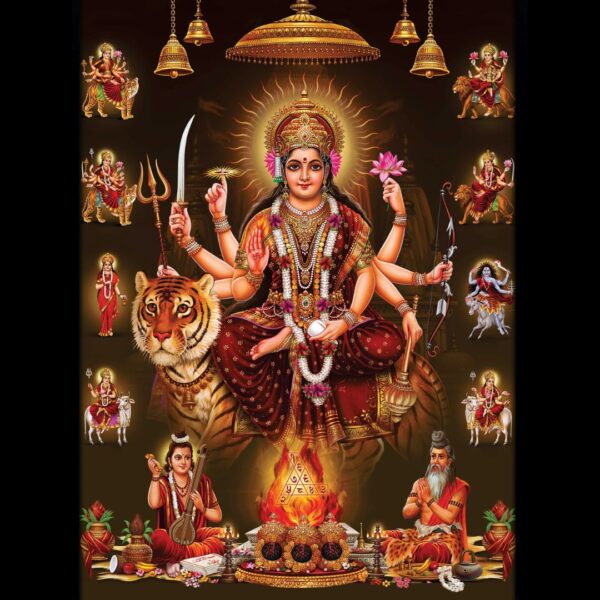 Nav Chandi Yagya Hawan with Samputit Path