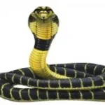 Kaal Sarp Dosh Analysis – Vedic Horoscope Report with Remedies