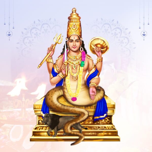 Online Rahu Pooja