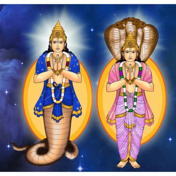 Rahu Ketu Transit Gochar Puja